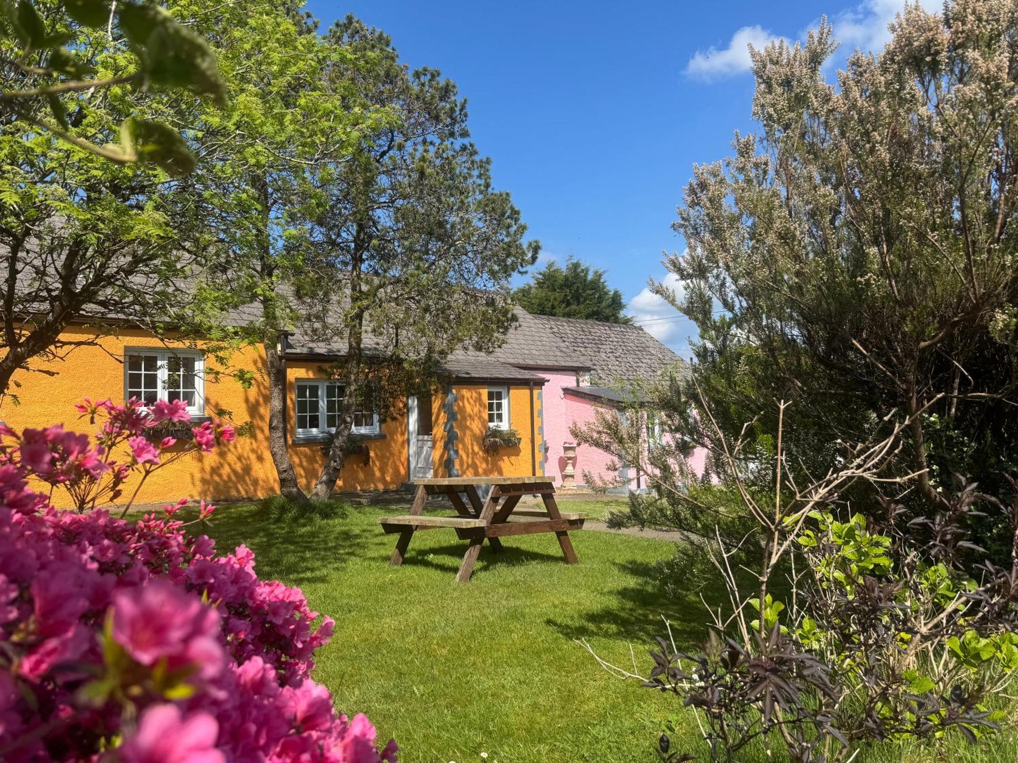 Trenewydd Farm Holiday Cottages Cardigan Bagian luar foto
